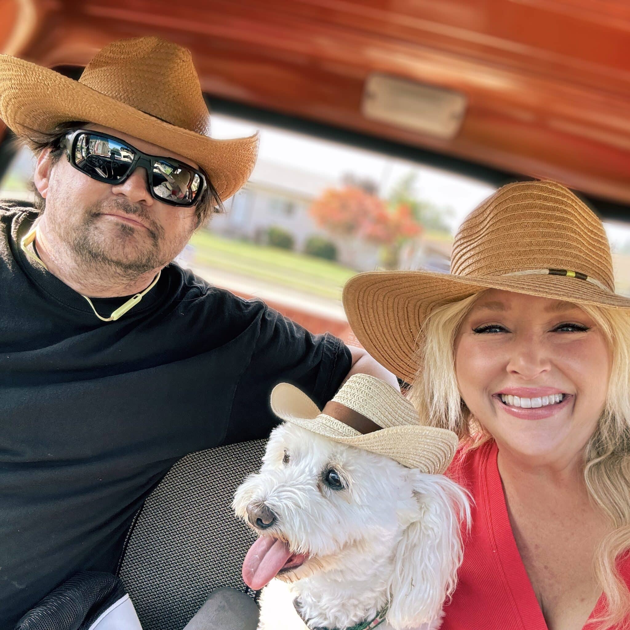 Latest Articles & Blog Posts